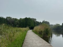 -溱湖国家湿地公园