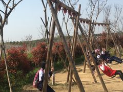 -武汉紫薇都市田园