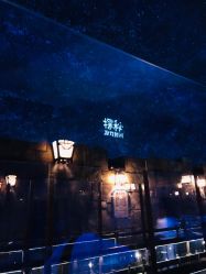 -翱翔飞越地平线