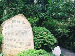 -十八棵（老龙井）御茶园(老龙井店)