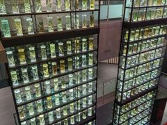 -广东中医药博物馆