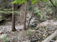 -牛背梁国家森林公园