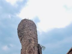 -磬锤峰森林公园