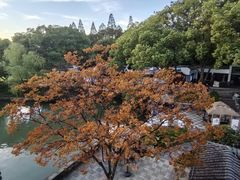 -无锡蠡湖国家湿地公园-蠡园