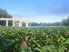 -长春世界雕塑园冰雪艺术天地