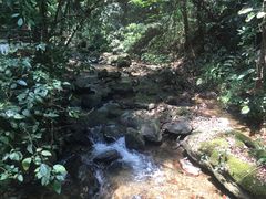 -莫里热带雨林景区