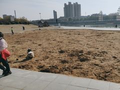 -沙澧河风景区