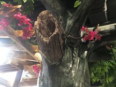 -草原塞蛮羊火锅城(港湾店)