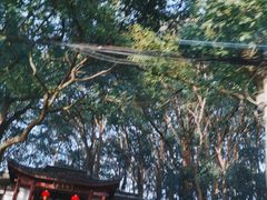 -上海佘山国家森林公园天马山园