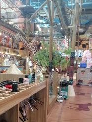 -卡通尼·Safari非洲探索乐园·生日会(金桥国际商业广场店)