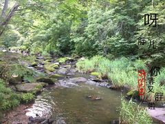 -茅兰沟国家森林公园