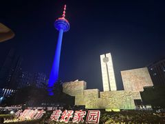 -辽宁电视塔