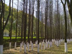 -白塘生态植物园