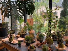 -自由生长植物工作室(深港花卉中心店)