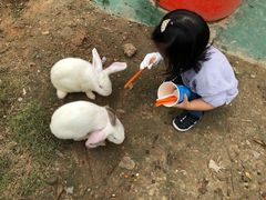 -黄龙溪欢乐田园