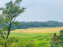 -象山森林公园