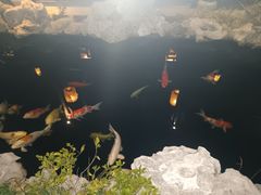 -金海华·华宴江南(斜塘店)