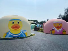 -漳州滨海火山岛自然生态风景区