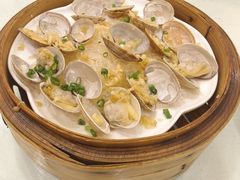 蒜蓉粉丝桂山蚬-万山楼海鲜酒家·二十三年老字号