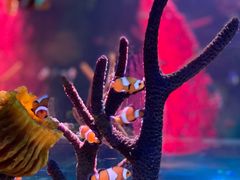 -沈阳海洋探索中心