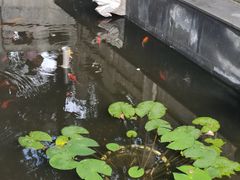 -万寿八仙宫