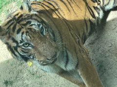 -北京野生动物园