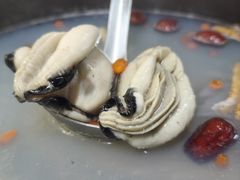 -濠轩阁特色生蚝火锅总店