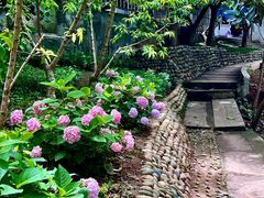 -桃源山庄·水蜜桃采摘·柴火鸡·烧烤团建(龙泉山店)