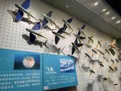 -抱抱地球咖啡馆(国家海洋博物馆店)