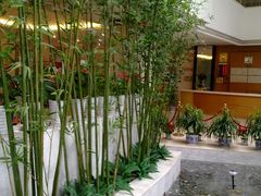 接待大厅一瞥-顺鑫绿色度假村