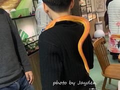 -藦茜花园宠物主题亲子互动体验馆(国顺东路店)