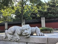 -观潮胜地公园