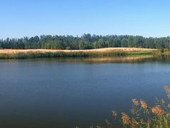-东郊湿地公园