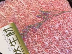 -季季山•云南野生菌火锅(上海首店)