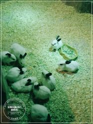 -宝燕乐园(闵行旗舰店)