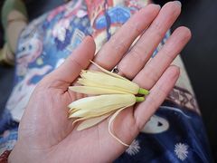 -上海东方艺术中心