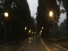 -温江公平红烧兔(总店)