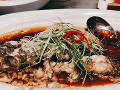 -沪碟·精菜坊(闵行店)