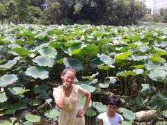 android_upload_pic-东莞市可园博物馆