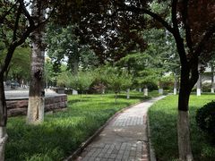 -山东师范大学(千佛山校区)