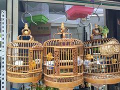 -曲阳花鸟市场(曲阳路店)