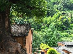 -杨家堂村