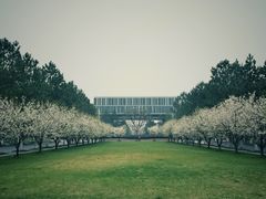 -同济大学(嘉定校区)