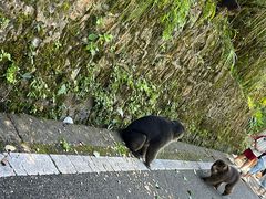 -西岭雪山大飞水景区