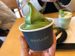 -雪绿茶博物馆