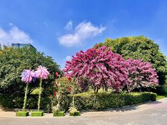 -杭州城北体育公园