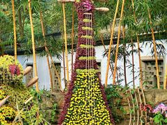 -杭州植物园