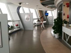 -339旋转餐厅(天府熊猫塔店)