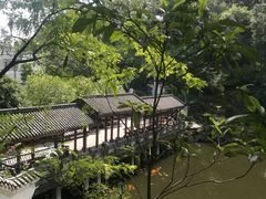 -南山植物园