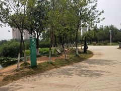 -前关湿地公园